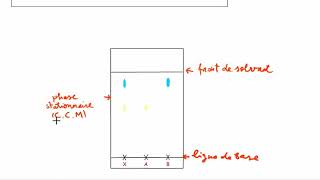 La chromatographie sur couche mince CCM [upl. by Ellison5]