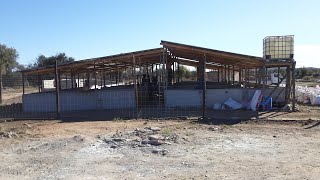 SEE How I Built OLIVE MOUNTAIN PIGGERY From Scratch [upl. by Morganica]