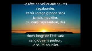 Les cigales sen foutent  Patrick Bruel PAROLES [upl. by Retsof]