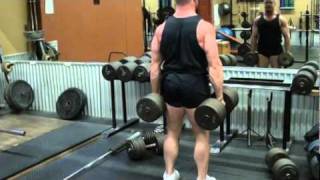 Dumbbell Stiff Legged Deadlifts [upl. by Inaniel843]