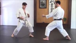 Hip dropping on Mawashi Geri  Rick Hotton Sensei [upl. by Auginahs]