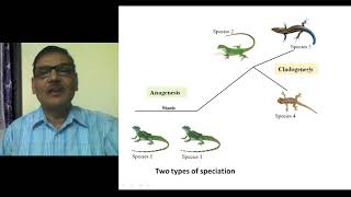 Modes of Speciation Formation of New Species [upl. by Eilahs]