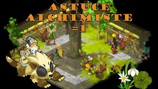 Dofus Alchimiste  Les deux maps cachées pour des plantes sans bots OBSOLETE [upl. by Llehsyar]