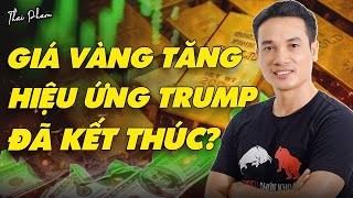 VÌ SAO VÀNG TĂNG GIÁ TRỞ LẠI LIỆU HẾT SỢ HIỆU ỨNG DONALD TRUMP LÀM TỔNG THỐNG MỸ [upl. by Nisay725]