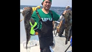 Northern California Lingcod Fishing Farallon Islands and Rockfish [upl. by Xuaegram]