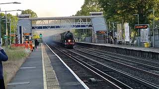 1Z51 Class 61306 Mayflower amp Class 47853 passing West Byfleet  310523 [upl. by Carr]