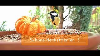 Schöne Herbstferien [upl. by Ticon]