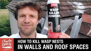 How to Kill Wasps Nests in Walls and Roof Spaces [upl. by Ejrog450]