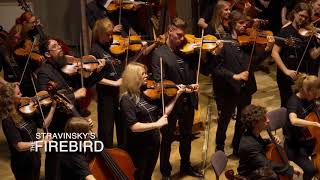 Stravinsky – The Firebird – performed from memory – Baltic Sea Philharmonic – Trailer [upl. by Row]