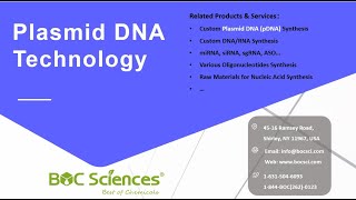 What is a Plasmid  Plasmid DNA Technology  Plasmid DNA pDNA Manufacturing  What is pDNA [upl. by Sonja]