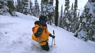 Deep pow in the Kootenays with CMH Heli Skiing [upl. by Mhoj]