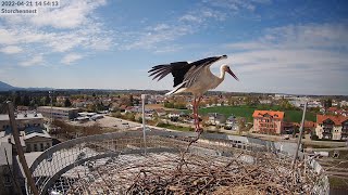 20220421 1454  Fremder Storch im Nest  Störche Freilassing Lokschuppen [upl. by Enneire]