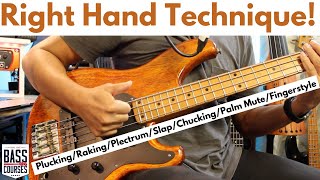 Bass Guitar Right Hand Technique Tutorial [upl. by Arjan]