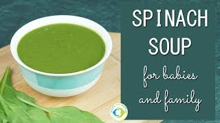 Spinach Soup for Babies Toddlers and Kids [upl. by Bonaparte372]