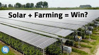 Solar Panels Plus Farming Agrivoltaics Explained [upl. by Lochner27]