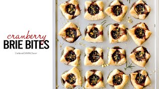 Cranberry Brie Bites [upl. by Ambert]