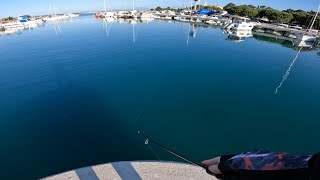 Adriatic Sea Cikvenica fishing in spring on topwater and minnow lures [upl. by Zachariah]