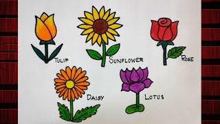 5 flowers drawingflowers drawing with colourhow to draw flowers [upl. by Erle]