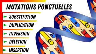 5 Types de mutations ponctuelles Explication détaillée [upl. by Kravits]