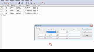 Cours vidéo OpenOffice Base 4  Tri et filtre [upl. by Nwahsyar]