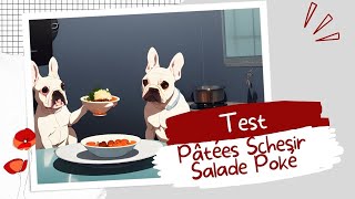 🐺 Pâtées quot Salade Poké quot  Schesir  TEST [upl. by Ecidnak]