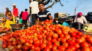 Today I Bought And Sold 250kg Tomatoes How Much Profit I Got After Sell [upl. by Jessalin]