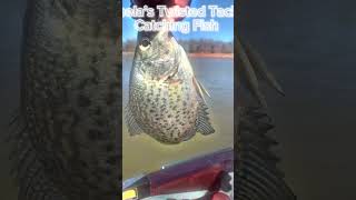 Catchen Fish oklahomafishing crappie fishing blackbassfishing crappiefishing fish [upl. by Tonina663]