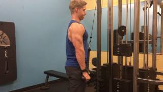 Triceps Pushdown With IsoHold [upl. by Drawdesemaj940]