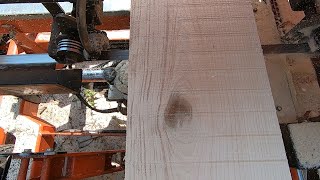 Sawmilling A GIANT Knot Birch  348 [upl. by Thalia]