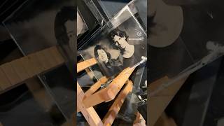 wetplate collodion workshop [upl. by Sukramed]