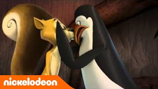 Les pingouins de Madagascar  Limpossible situation  Nickelodeon France [upl. by Madea]