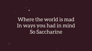 Saccharine Lyric Video [upl. by Anihc421]