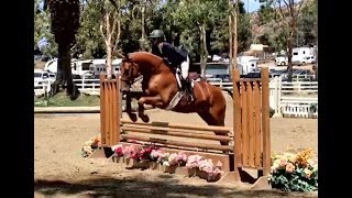 Monaco  Equitation Class  Showpark [upl. by Mixie432]