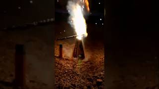 Happy diwali ✨diwali festival masti shortvideo youtubeshorts [upl. by Nodnek154]