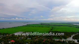 Green rice paddies and waterways of Kerala at sunset as seen from above Alleppey during monsoons [upl. by Entwistle923]