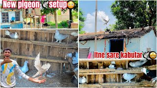 New pigeon 🕊️setup😳  Finally itne sare kabutar🕊️kharidne gye🤩  pigeon [upl. by Eniluj]