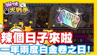 《哲平》手機遊戲 貓咪大戰爭  一年兩度的辣個日子來啦  年初一次 白金轉蛋卷時間到啦 [upl. by Icrad]