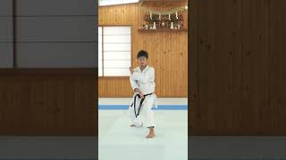 jka karate kata [upl. by Bick497]