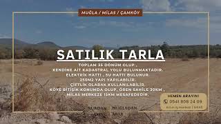 Muğla Milas Çamköyde Satılık Tarla satılıktarla muğla [upl. by Ahsienauq776]