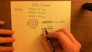 Introduction to the RAS Proteins Part 1 [upl. by Gildas]