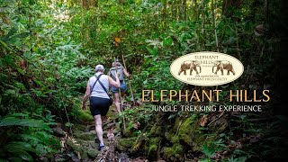 Experience the Wonders of Khao Sok with Elephant Hills Jungle Trekking [upl. by Led]