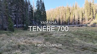 New Tenere 700 first trip to the coast [upl. by Kcirrem269]