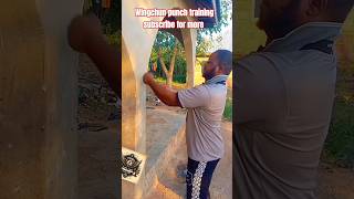 wingchun chain punch to the wall wingchuntechniques martialarts selfdefense wingchunmaster [upl. by Cannice]