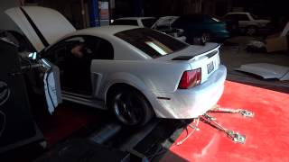 2001 V6 Mustang Dyno [upl. by Neelloj169]