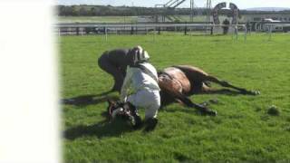 Racing horse death by accident in Galway [upl. by Erlina]