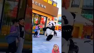 panda cutepanda funny pandalover beautifulpanda pets shorts viralvideo youtubeshorts [upl. by Eustis257]