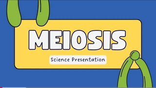 Stages of meiosisigcse biology and A levels [upl. by O'Rourke]