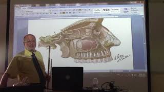 Anatomy of head amp neck 41  Temporal amp infratemporal fossae  part 8   by Dr Wahdan [upl. by Quartus]