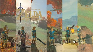 quotNEWquot NPC Weapons in Breath of the Wild BOTW MODS [upl. by Nylodnarb188]