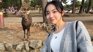 JPNKOR 【VLOG】일본인 대학생 브이로그🦌🩶 in나라 ｜일본어공부 영상｜교토 [upl. by Darnoc101]